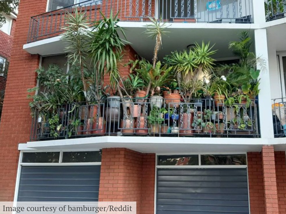 HobbyistPlant's tweet photo. "You'll know which apartment is mine."

"How will I know?"

"Oh you'll just know." https://t.co/nITCek4glv