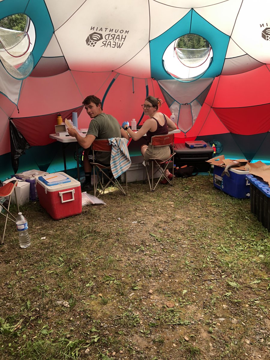 CRÉA_CC tweet media