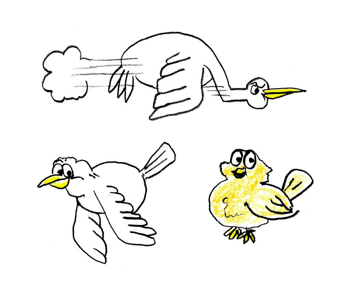 Bird cartoons from tonight. Cheers! #drawings #cartoons #birddrawings #cartoonbirds #Pencildrawing #pencilsketch #Sketching