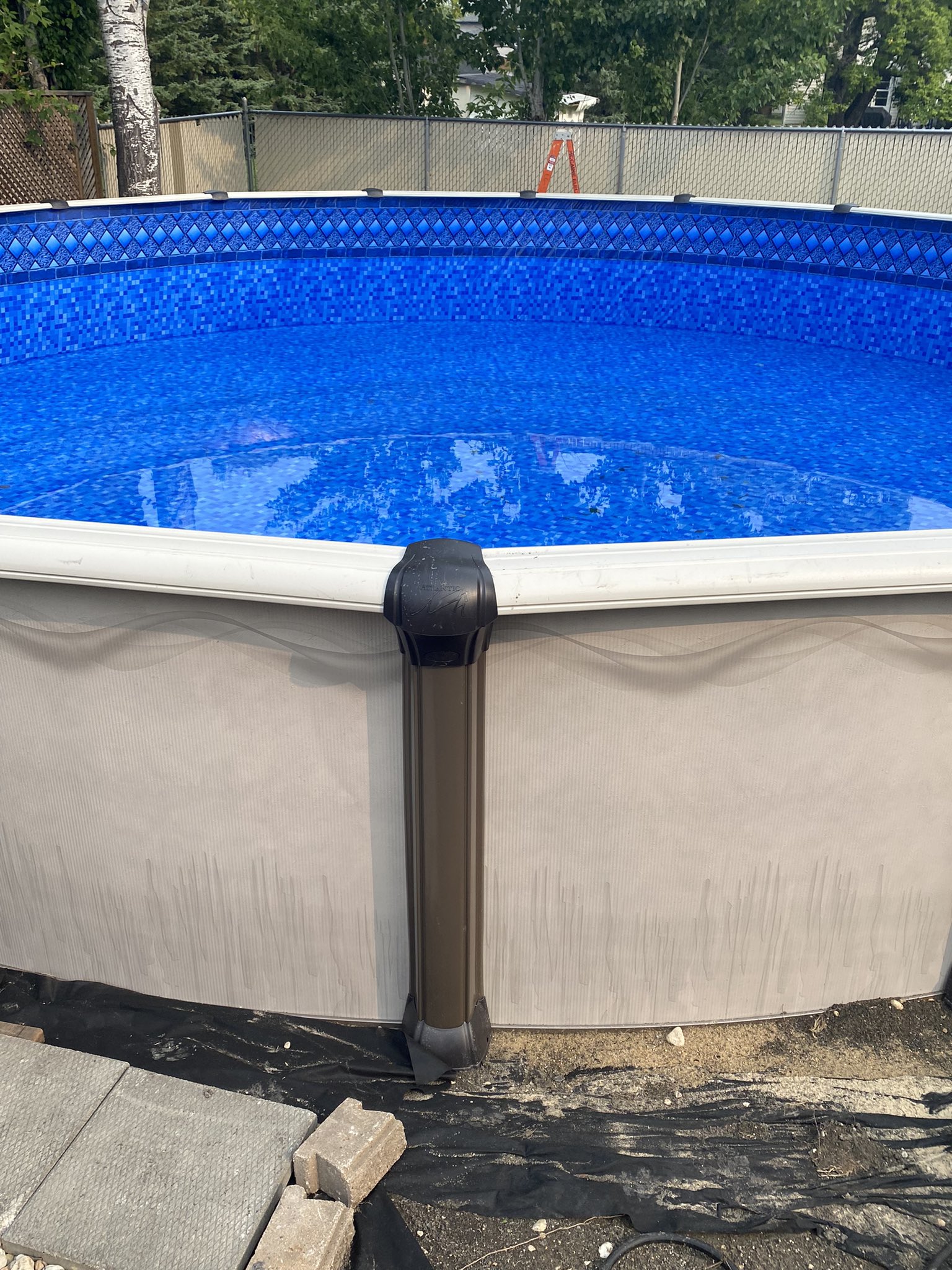 Bevarooni 👠 on Twitter "It’s going to take 45 days minimum to fill