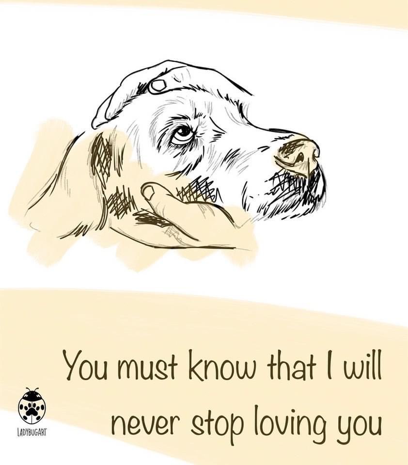 Rocking Granny tweet media