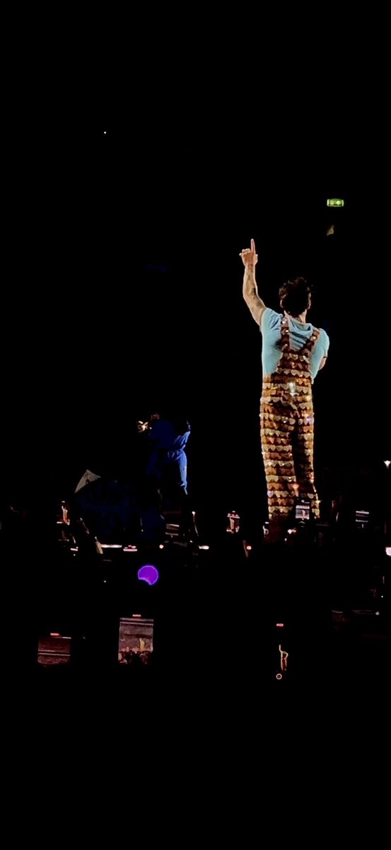 meganstylesss_'s tweet photo. Thank YOU Harry, We’ll be alright💖#GoodnightH https://t.co/Ccaghg1LWQ