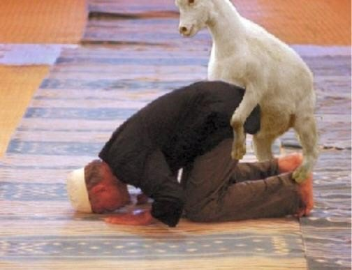 Lycanfnn's tweet photo. @cloudtryona vale pero tu anda con cuidado con las cabras broo no te agaches a por el jabon https://t.co/5P9970cX3n