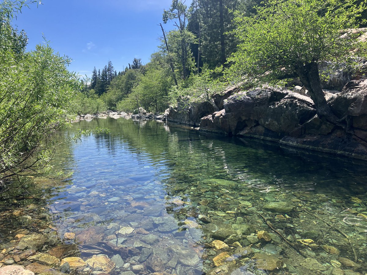 Alexander Huras tweet media