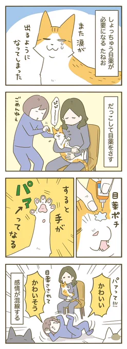 かわかわ