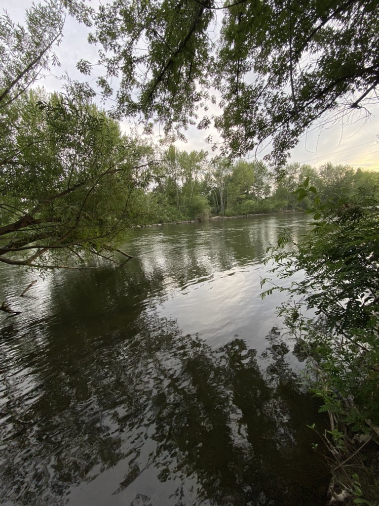 Gorgeous river views driving into Boise for #Botany2023