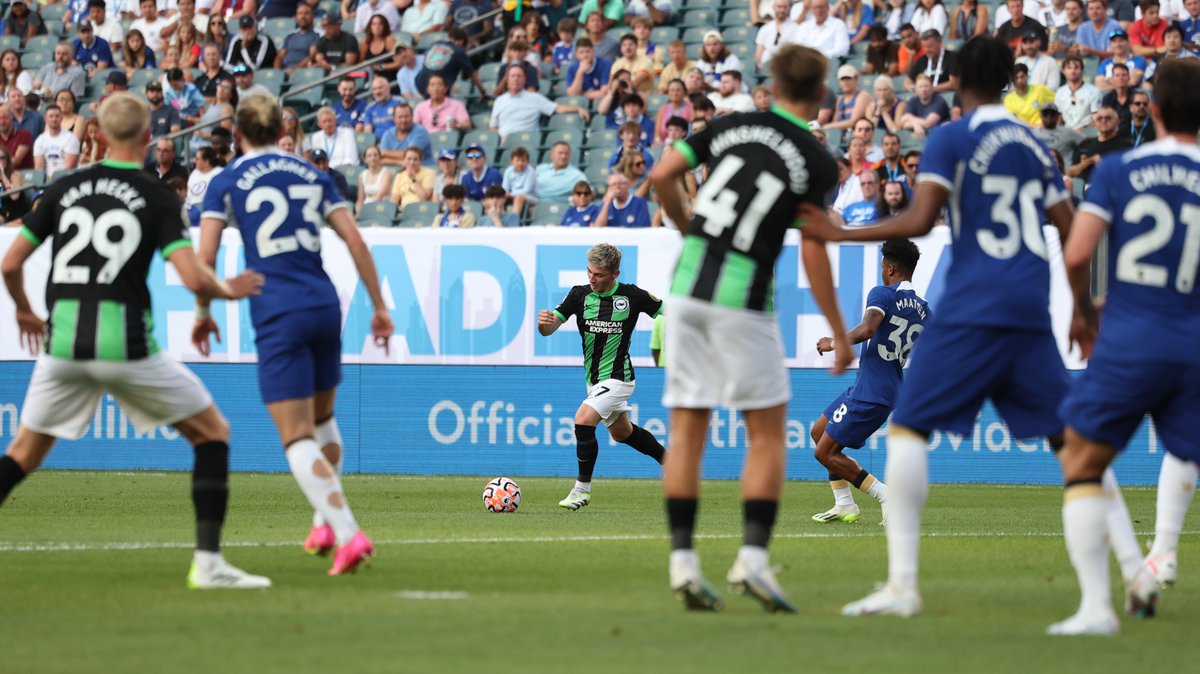 Brighton & Hove Albion tweet media