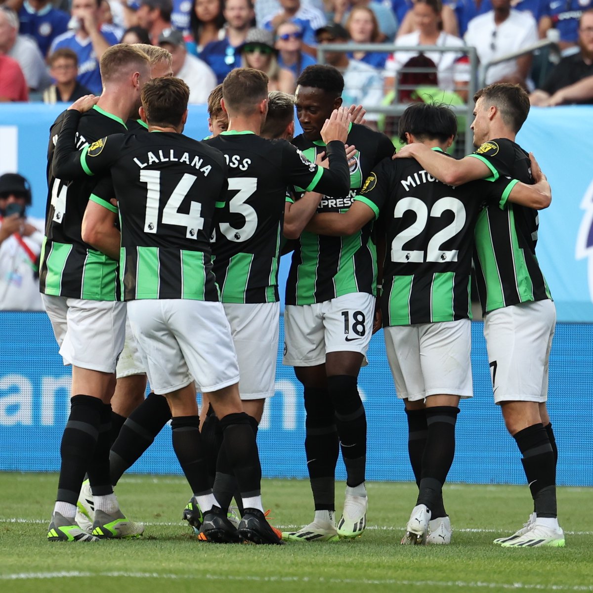 Brighton & Hove Albion tweet media