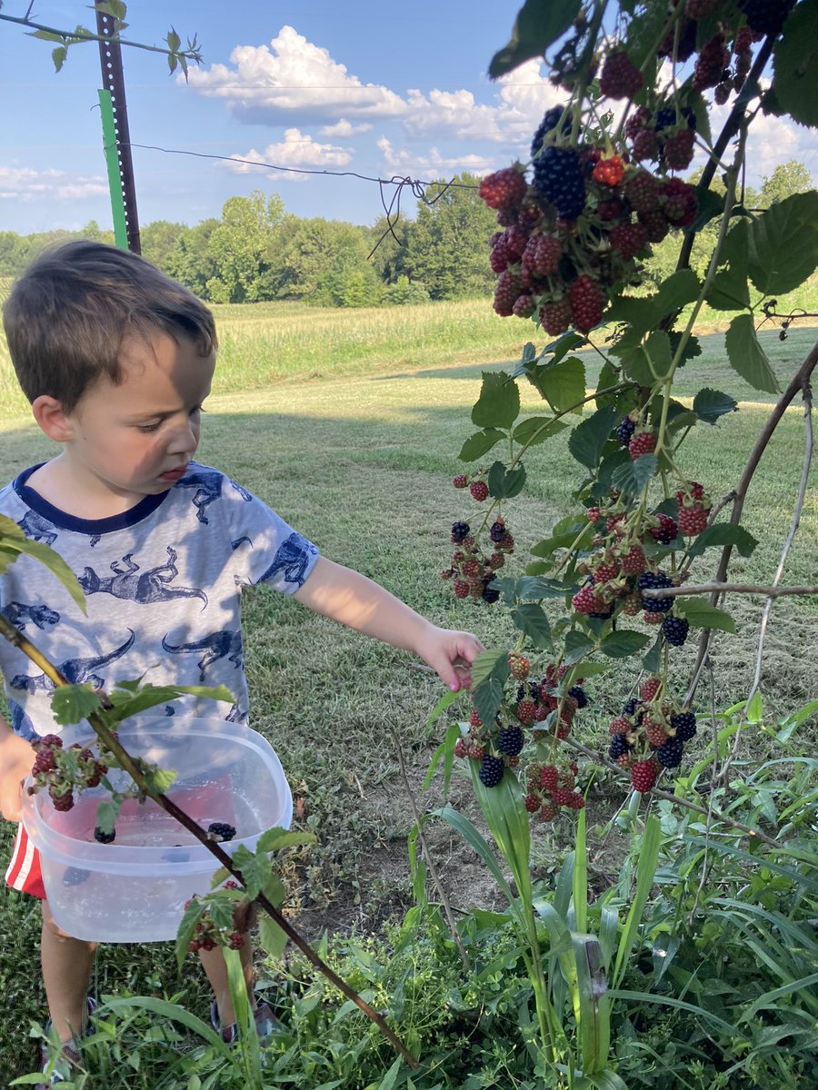 Mike Kavanaugh tweet media