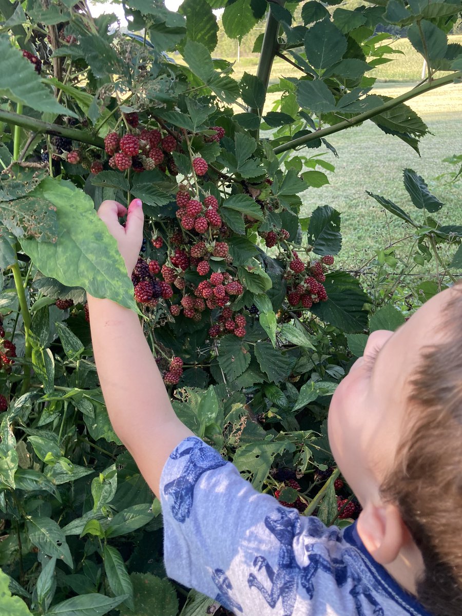 Mike Kavanaugh tweet media