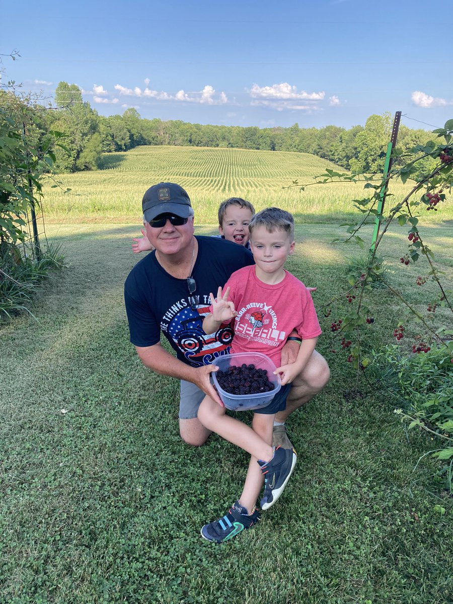 Mike Kavanaugh tweet media