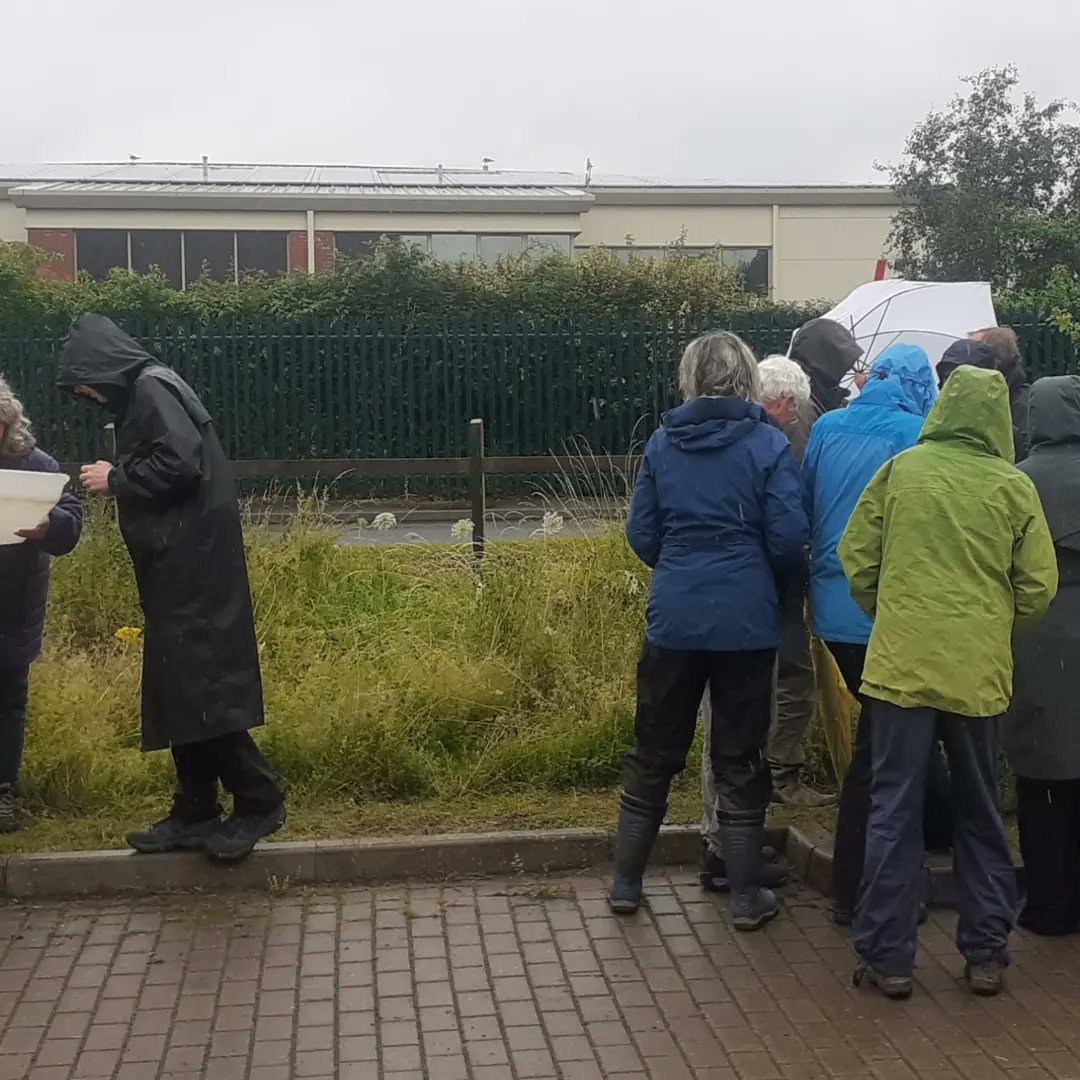 It was a little damp but still 40 species and 18 people on our Bug course today. @clan_cic <a href="/HeritageFundUK/">The National Lottery Heritage Fund</a>