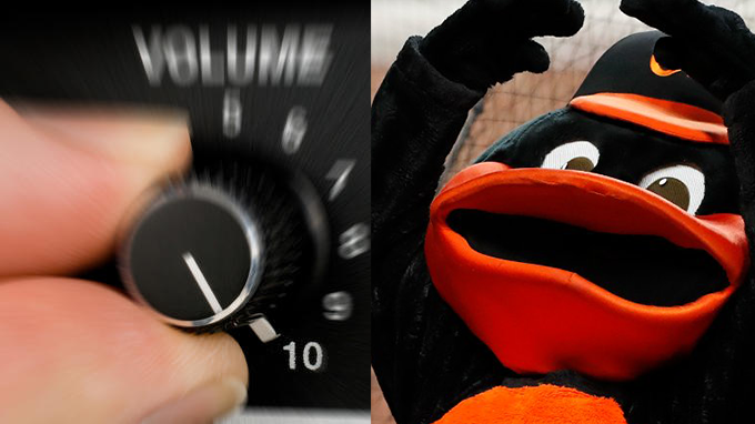 Orioles's tweet photo. *LOUD BIRD NOISES* https://t.co/asZidwAhDR