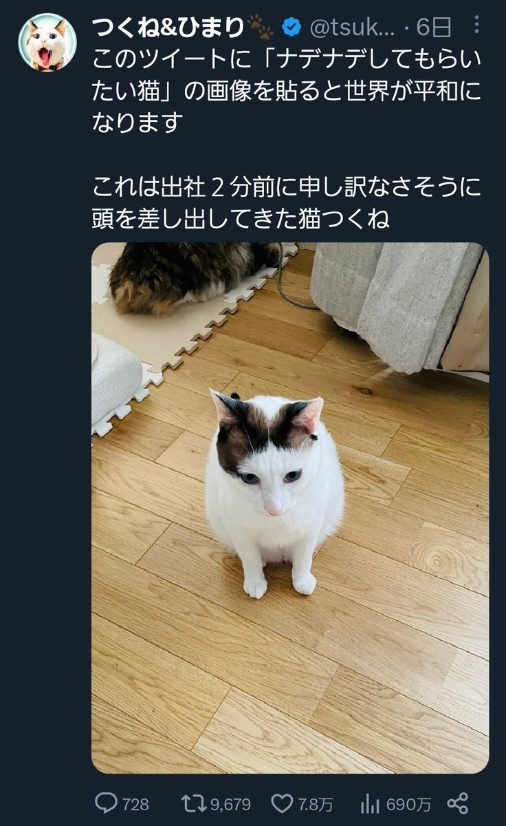 猫 旧い 絵 37番 友達「yufu猫」
