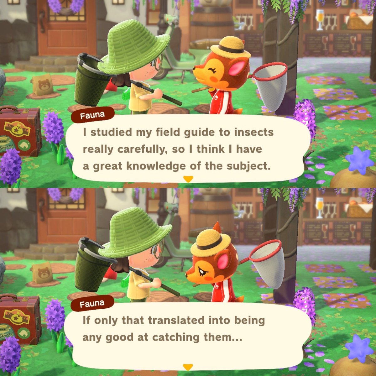 ls_grandpa's tweet photo. Same, Fauna. Same. I caught 7 bugs all day. 🥲 #acnh #animalcrossing #acnhbugoff https://t.co/MzzgmeMPPP