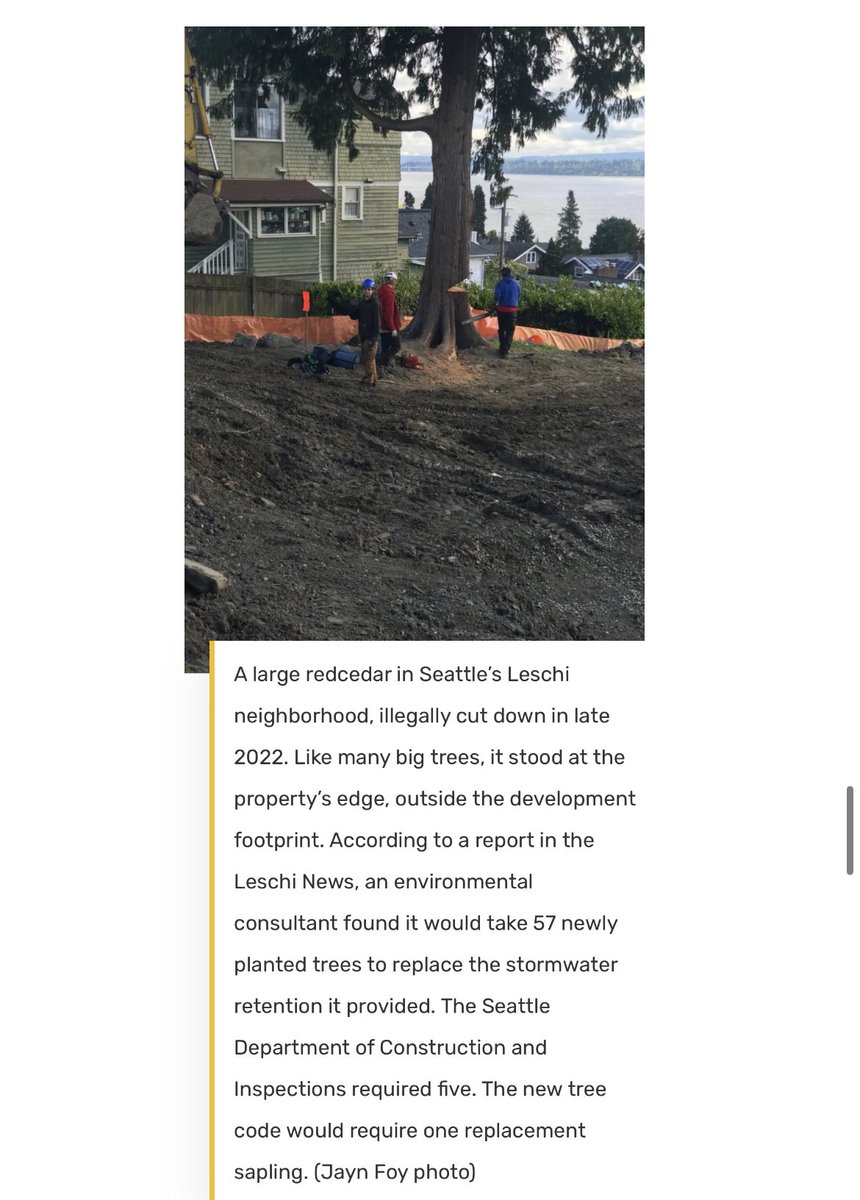 Seattle Lorax- trees+density+transit for all tweet media