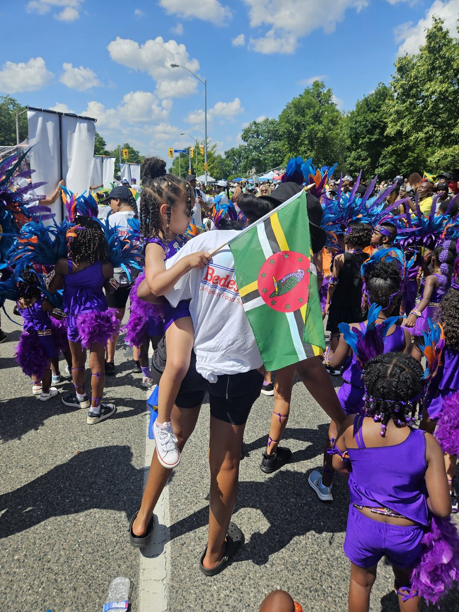 ChezDominique's tweet photo. My little person had a great time representing her Caribbean roots today at Kiddies Carnival @EmbraceDominica #Caribana2023 #TorontoCarnival #PlayaMas @lilnationz #Semeru https://t.co/MqRFfiUHnB