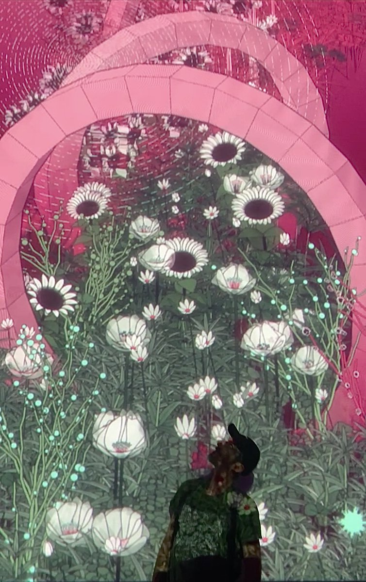 zancan 🌿 tweet media