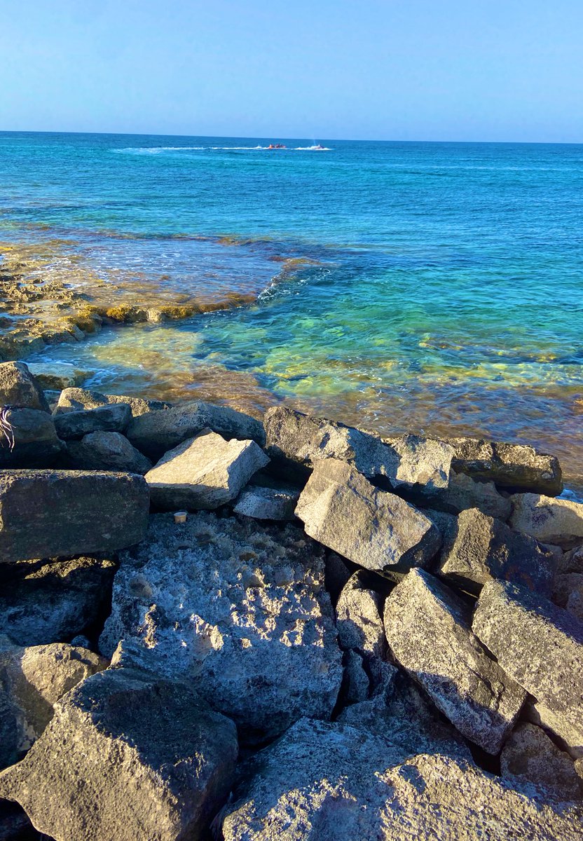 GLIZJGDVZMVPfcB's tweet image. #Marsa #Matrouh #Egypt #today