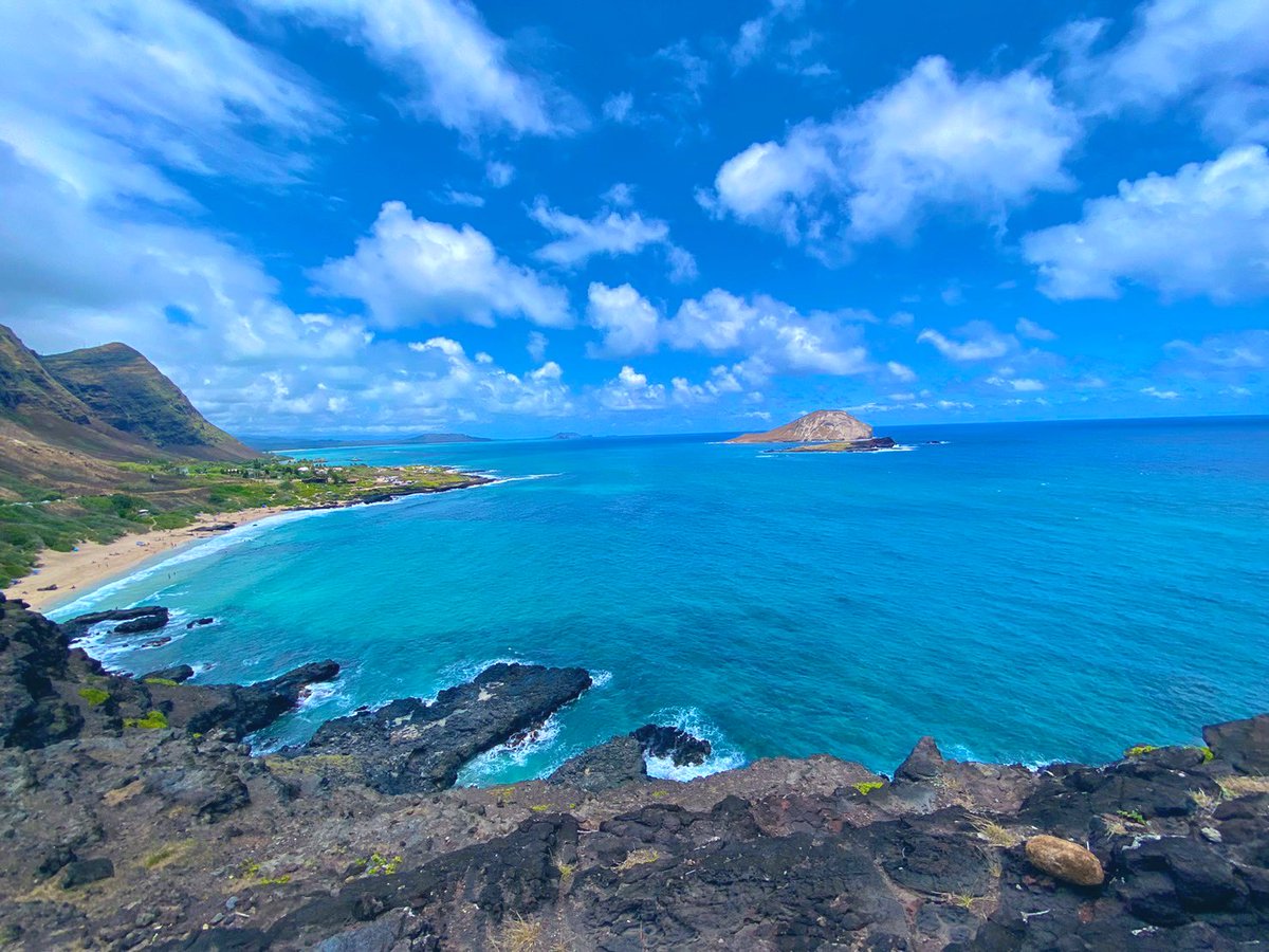 goHawaiiJP's tweet photo. Aloha!
おはようございます☀️

今日のマカプウ展望台からの1枚📷
ハワイも良い天気です！ https://t.co/Bwpng0CAvi