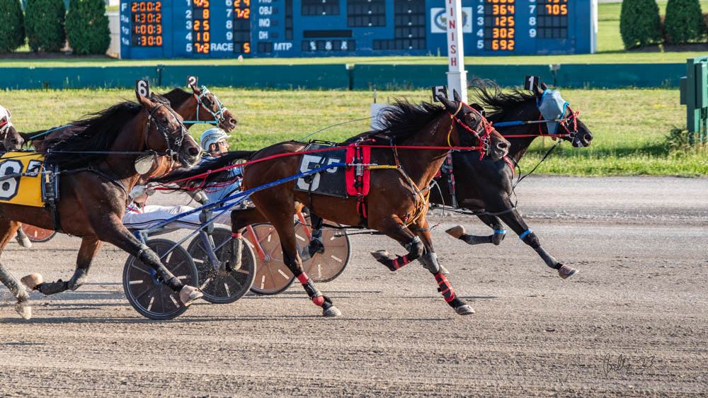 burke_foto's tweet photo. John Cummings Jr. is in the sulky behind CLASSIC SUNNY for trainer Scott Bompczyk in Buffalo Raceway's fifth to earn the win for owners Anthony J Alessi and Fred L Yellin.
#harnessracing @BuffaloRaceway https://t.co/CHrnhlp10v
