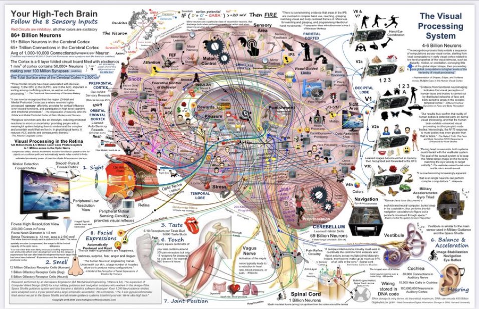 doctormacias's tweet photo. Hoy es el día mundial del cerebro. No perdamos la capacidad de asombrarnos de sus funciones; aquí un diagrama simplificado (sí, simplificado) de ellas. 
#DiaMundialdelCerebro 
https://t.co/s7A7jb7gox https://t.co/eBcqgBeham
