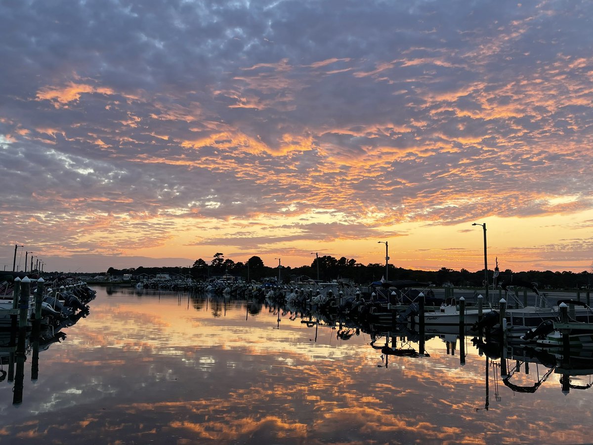 James Tyler (still) tweet media