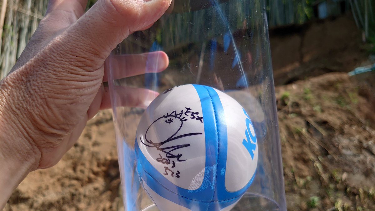 troutend1010's tweet photo. ラグビーボール出てきた。

さすがポリカ強いし浸水してなくて良かった。

#想い出の品
#superat 
#本人も何処に飛ぶか分からない https://t.co/Yhgdw6lpPI