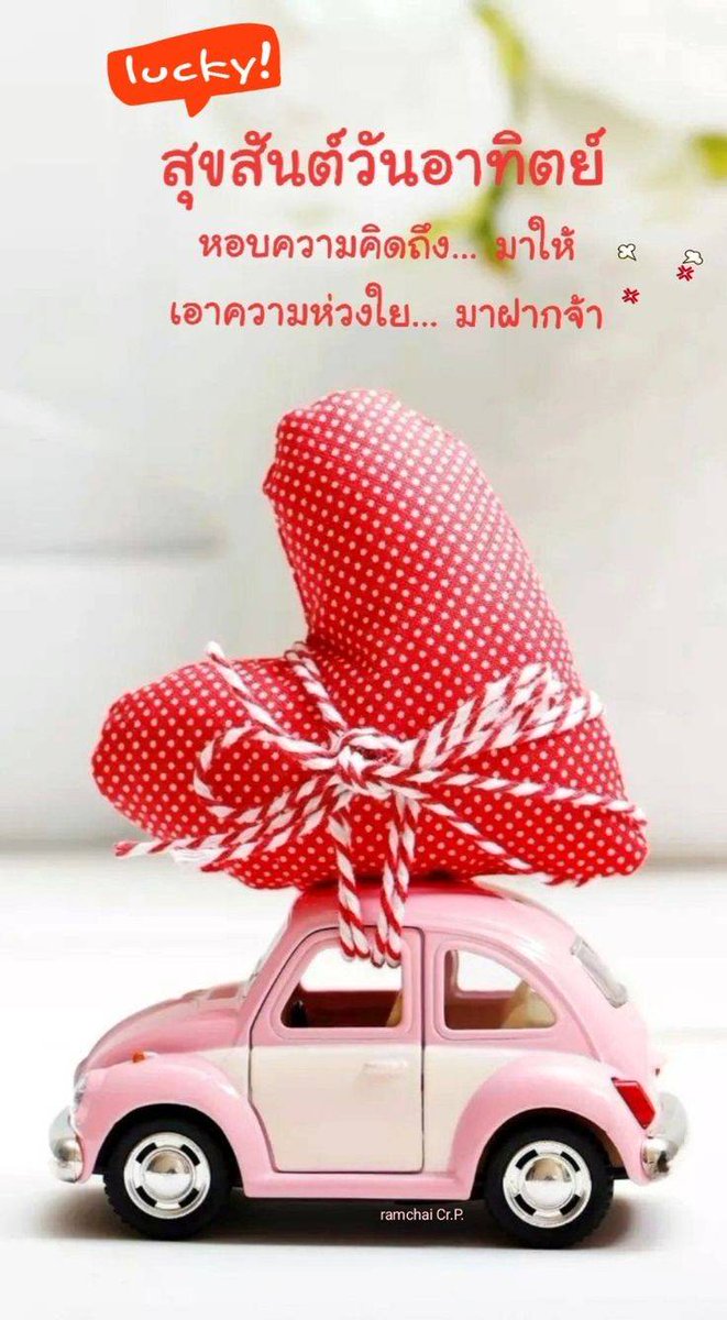 PhetcharatTang's tweet photo. https://t.co/dId1kU0J5B