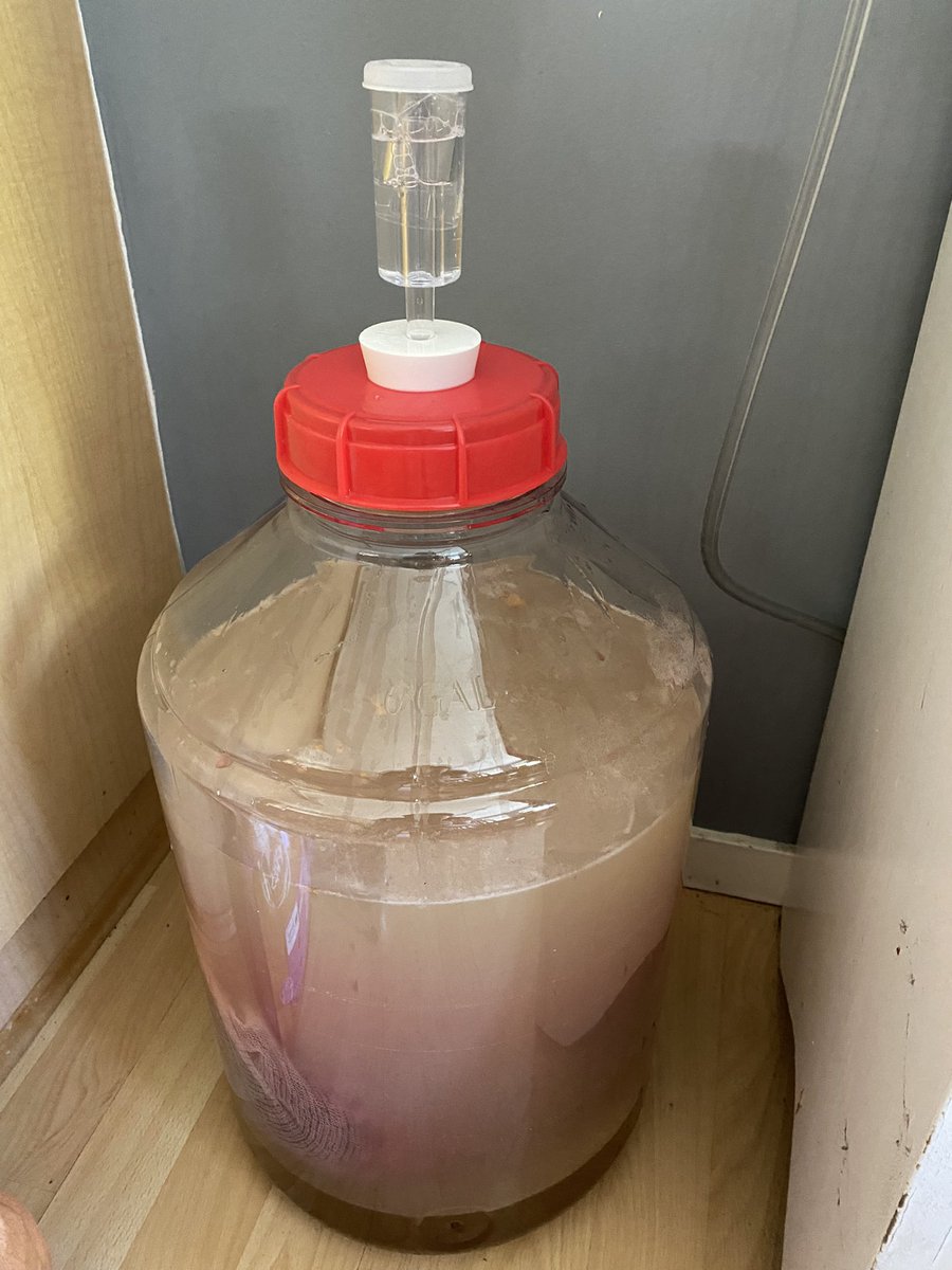 reyesbrews's tweet photo. Danger Bay Red Currant Mead 2023 https://t.co/KcynCD8egL