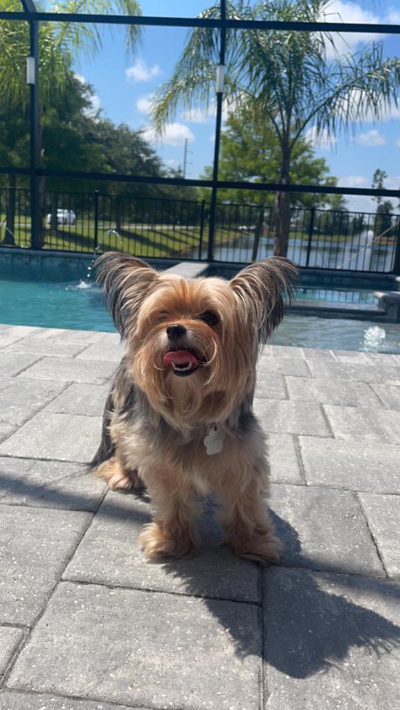 Tess is our new brand ambassador!  Enjoying the Florida experience at Azalea House!