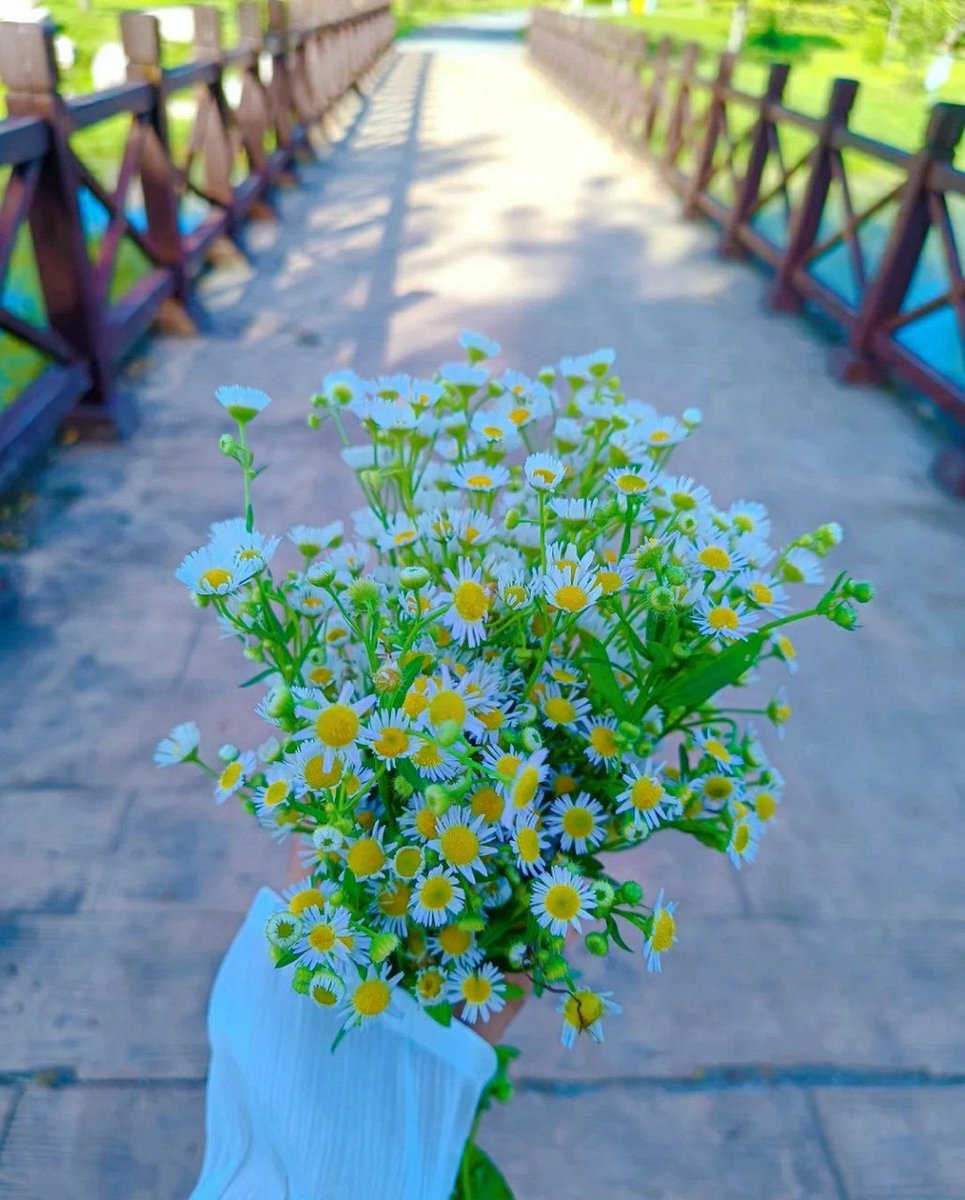Give yourself a hope, don't worry about yesterday, don't be confused for tomorrow, just for a better today;