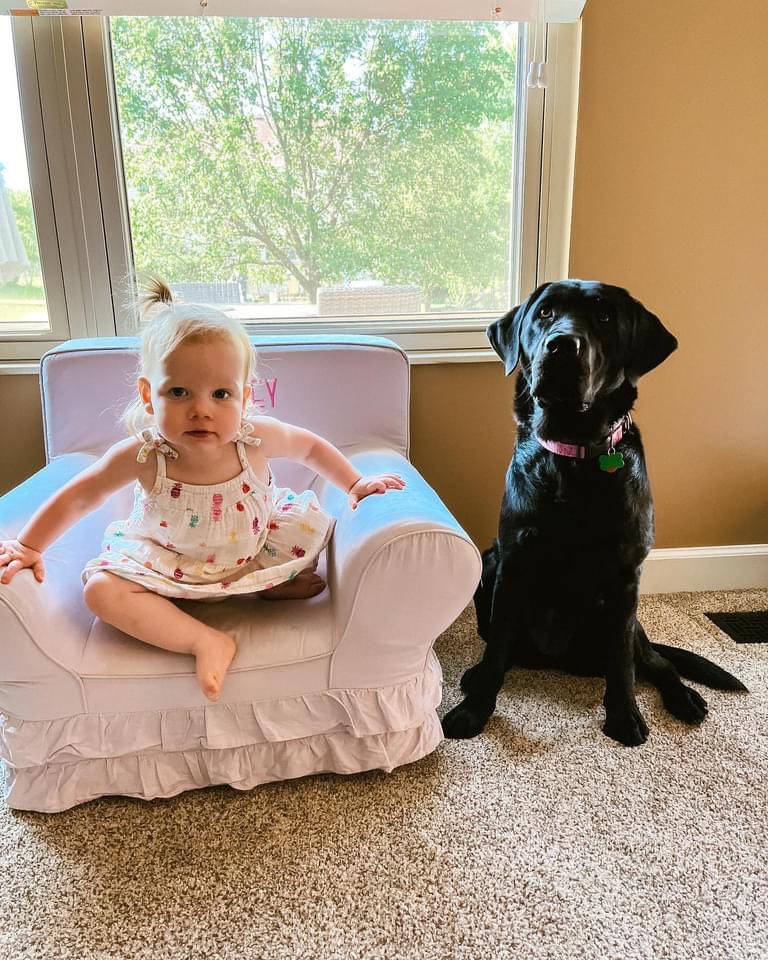 Loxley had her first day back to training. Have to brush up on our commands for school. And today marks 1 year of her being with us. <a href="/wolvestweet/">Woodland Elementary</a> <a href="/LakotaDistrict/">LakotaLocalSchools</a>