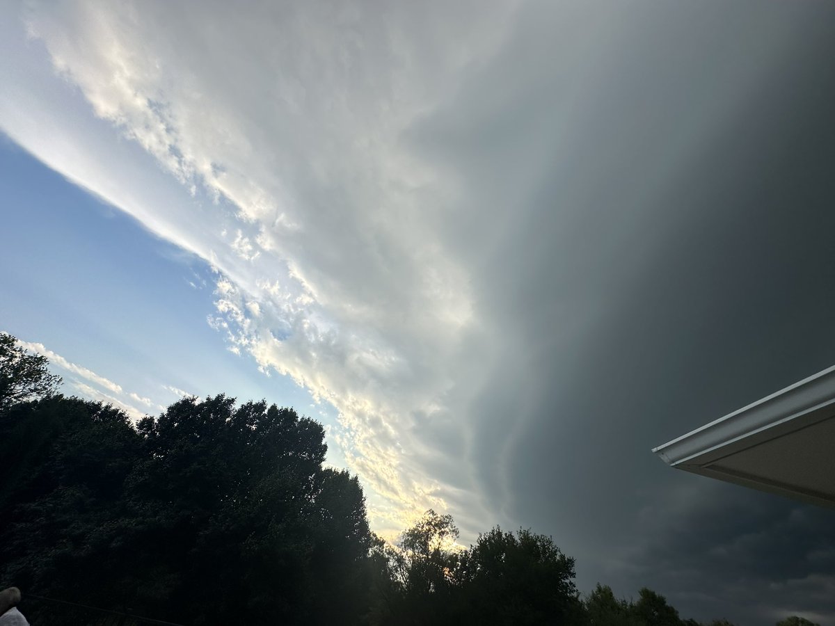 Paige Hill tweet media