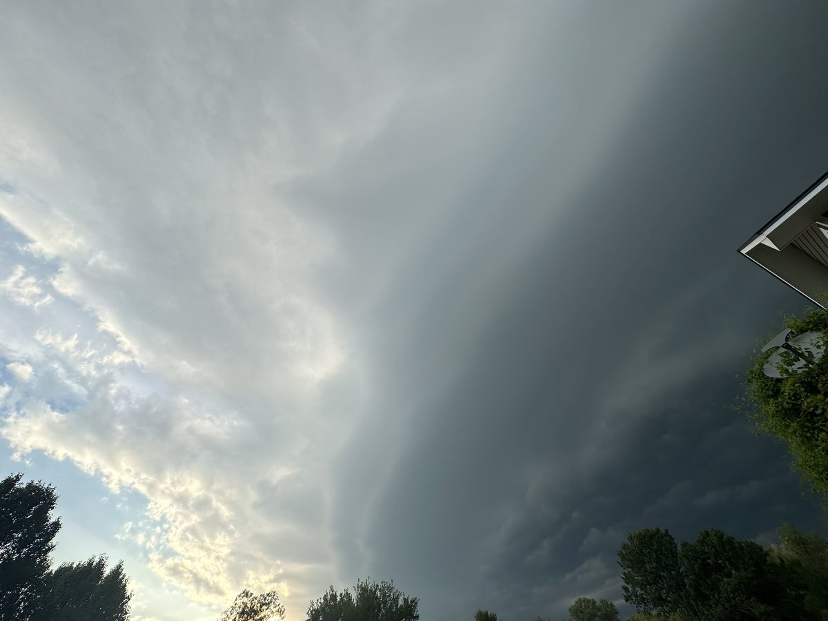 Paige Hill tweet media