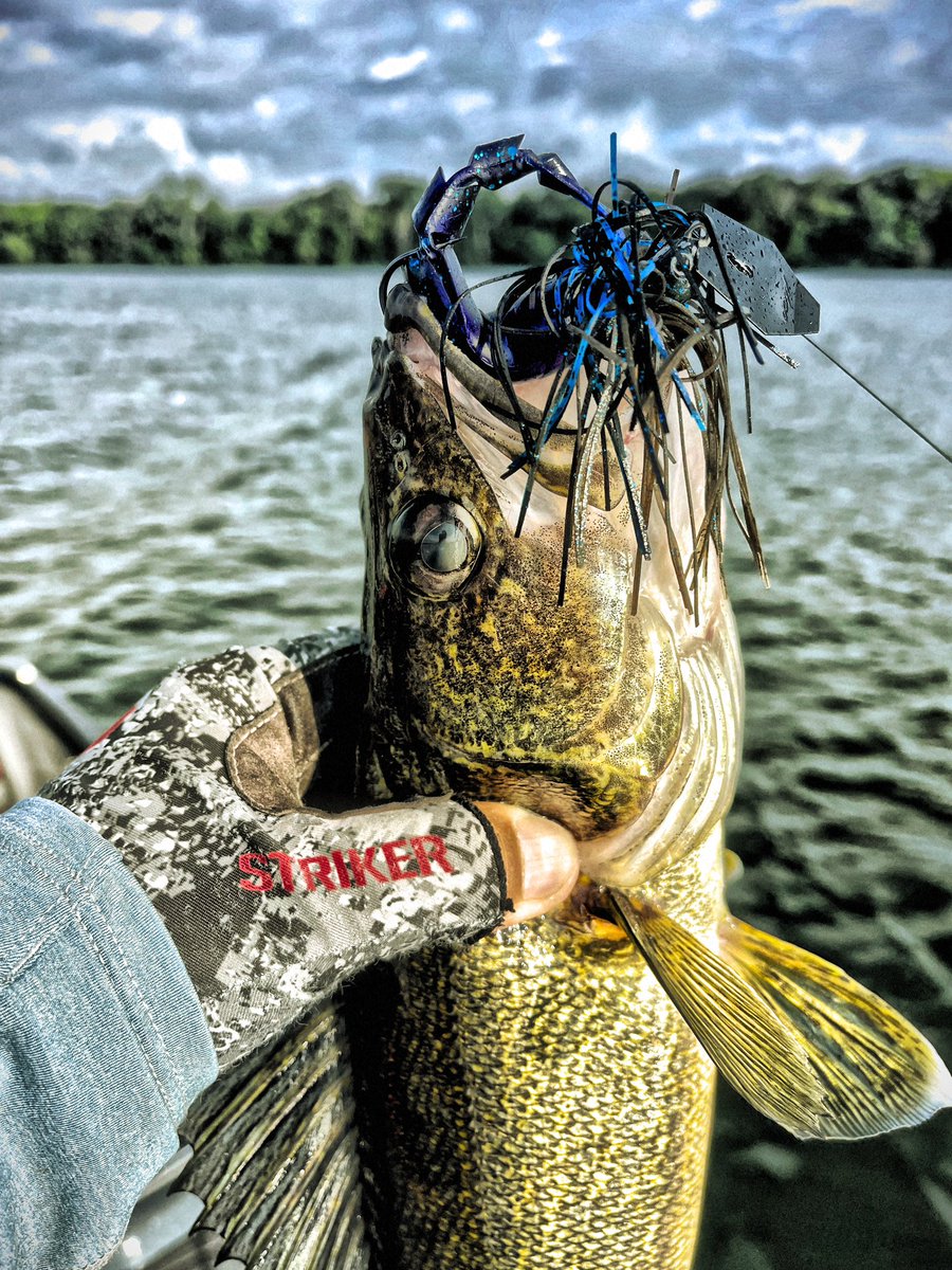 FishHardDave's tweet photo. @zmanfishingproducts Jackhammer serves up dinner!๐๐๐#WalleyeDinner #ZManFishingProducts #JackHammerTime #StrikerBrands https://t.co/IC3dXGndo1