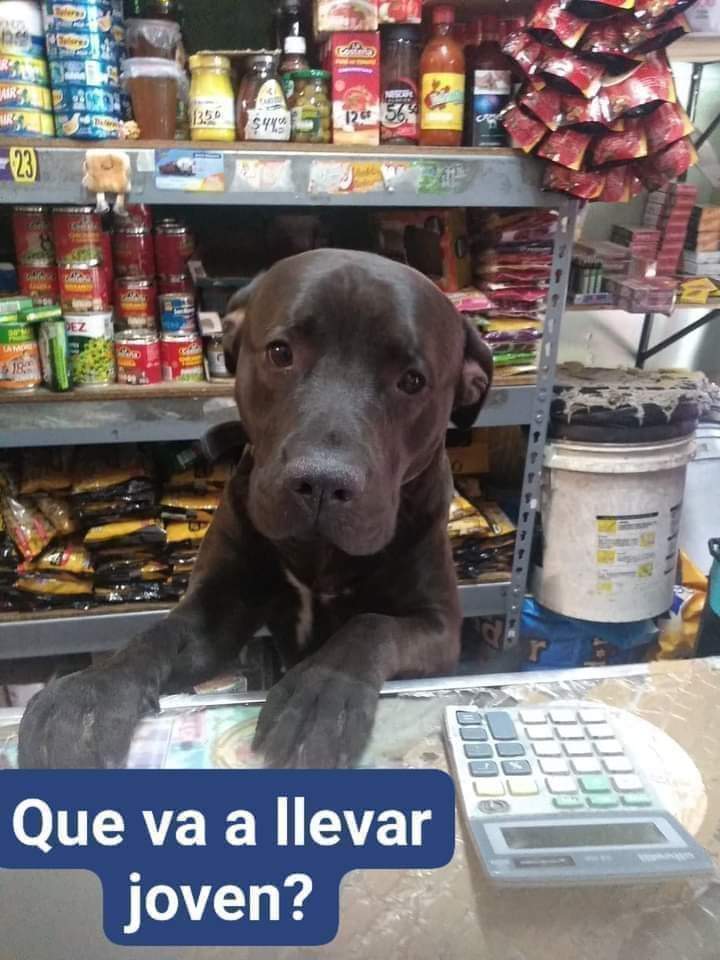 Sabueson's tweet photo. Que le dirias ? https://t.co/J152vlHxof