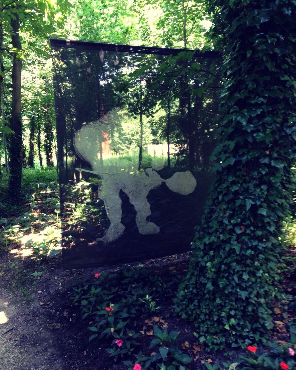 Lolo_Cg_photos's tweet photo. The gardens of Parc Mosaic near Lille…
#photography #photooftheday #lille #naturephotography #landscapephotography #objet #photographer #gaden https://t.co/NxPxoQ3lQh