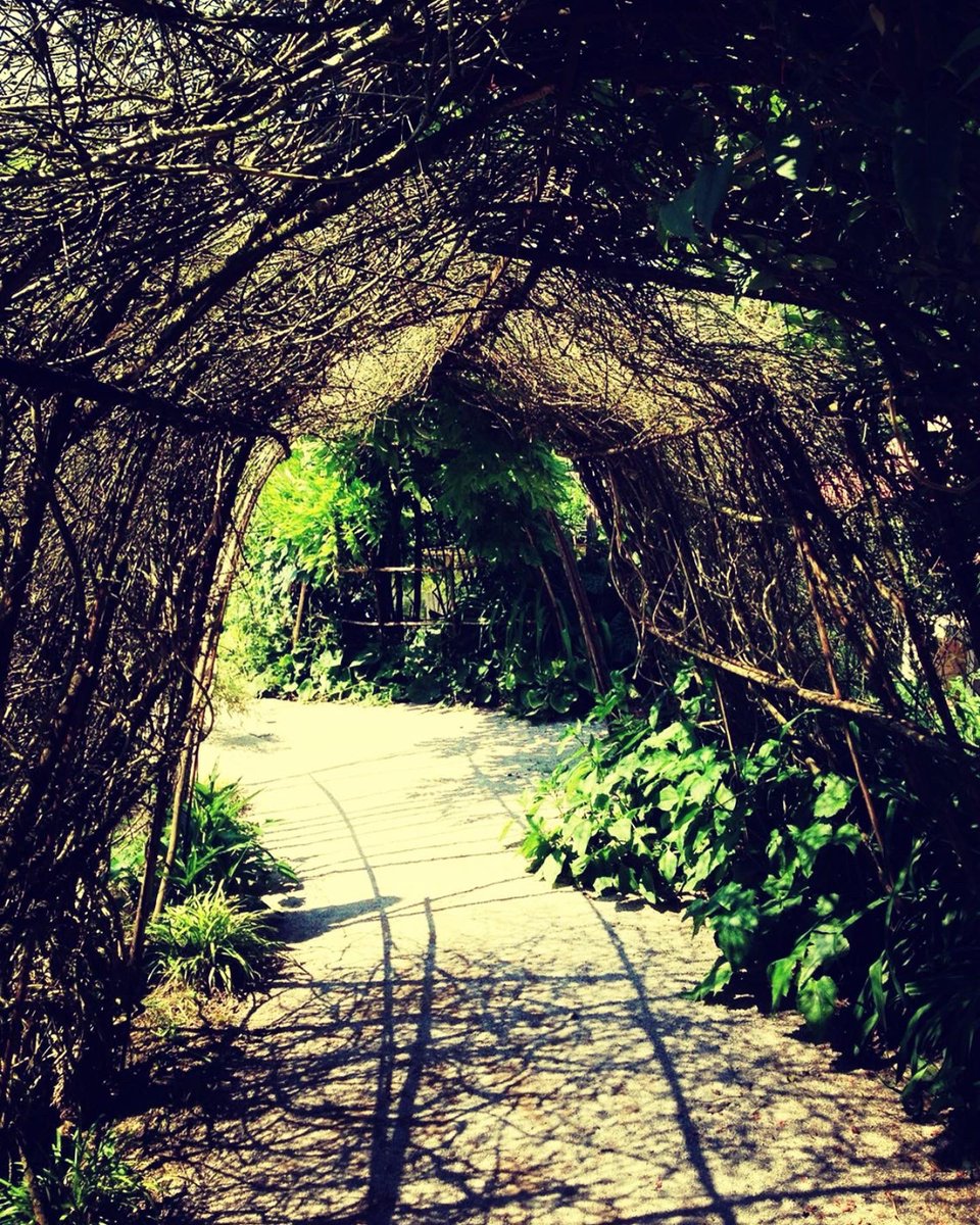 Lolo_Cg_photos's tweet photo. The gardens of Parc Mosaic near Lille…
#photography #photooftheday #lille #naturephotography #landscapephotography #objet #photographer #gaden https://t.co/p5zwa2AicI