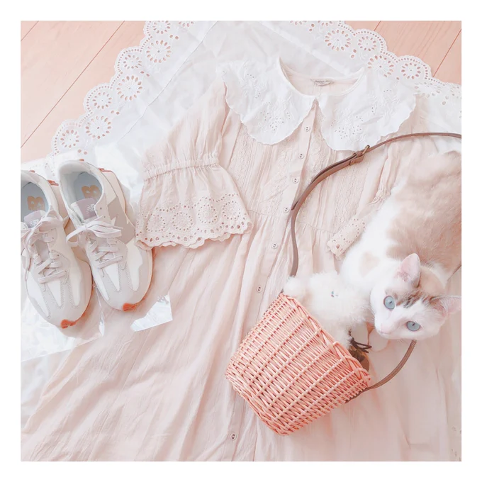 新しいスニーカーかわいい。夏服に合わせてみたー。そして猫様が写りにやってきた