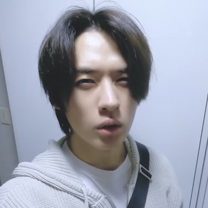 linoascats's tweet image. 