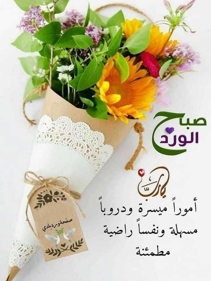 ــــــــــــــــــــــــــــــــــــ 🌱

"وكم من شدّةٍ في الليلِ ضاقت
وجاءَ الصُّبحُ في أبهى انفراجه!".