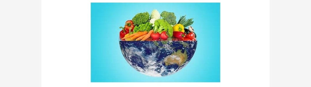 Vegan Diets Have Lower Environmental Impact
shesightmag.com/vegan-diets-ha…
shesightmag.com/shesight-july-…
 #VeganDiet #EnvironmentalImpact #SustainableLiving #PlantBased #VeganLifestyle #ClimateAction #EcoFriendly #VegansForThePlanet #GreenLiving #LowCarbonFootprint #EcoFriendlyDiet #SheSight