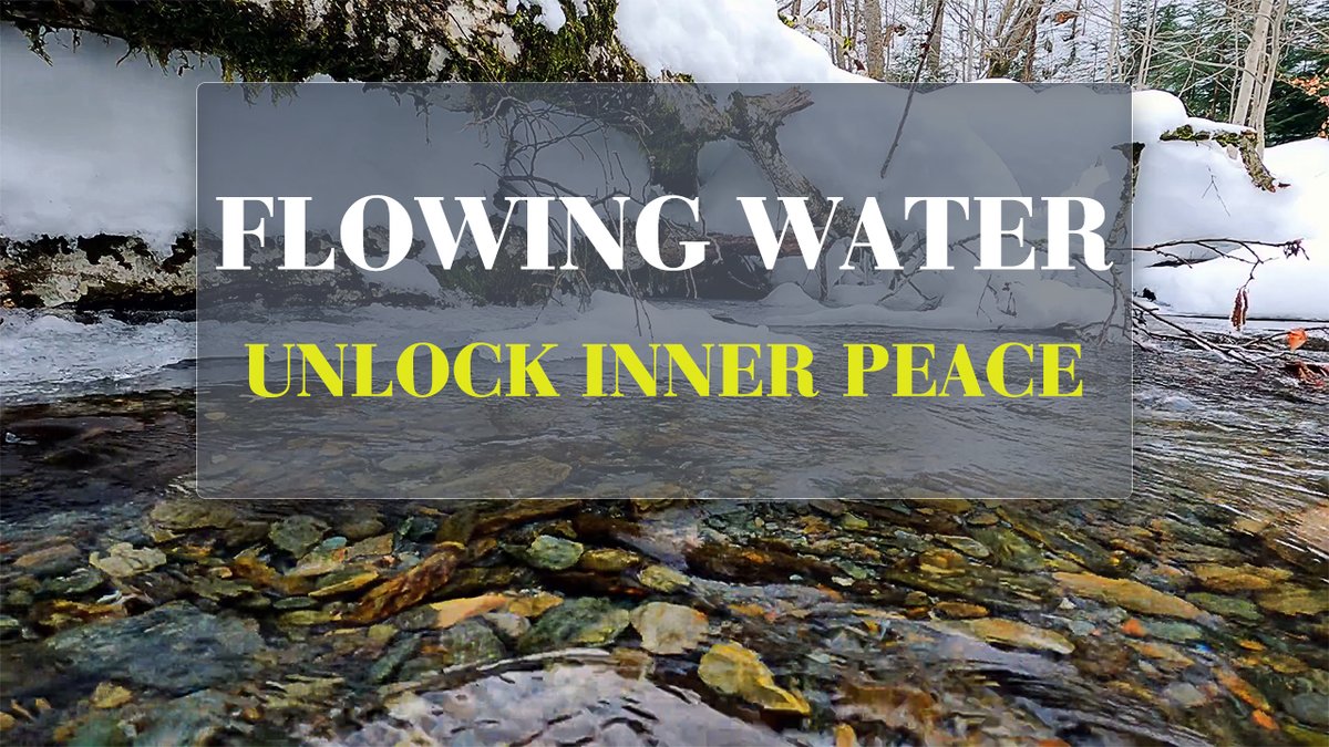 SoulWhiteNoise's tweet image. Are you seeking a method to unwind your mind and body?
This video is perfect for you!

👉 youtu.be/elL8hqtYURM

Hit play, close your eyes, and let the healing power of flowing water and alpha waves wash over you.

#flowingwater #watersounds #foreststream #stream #alphawaves