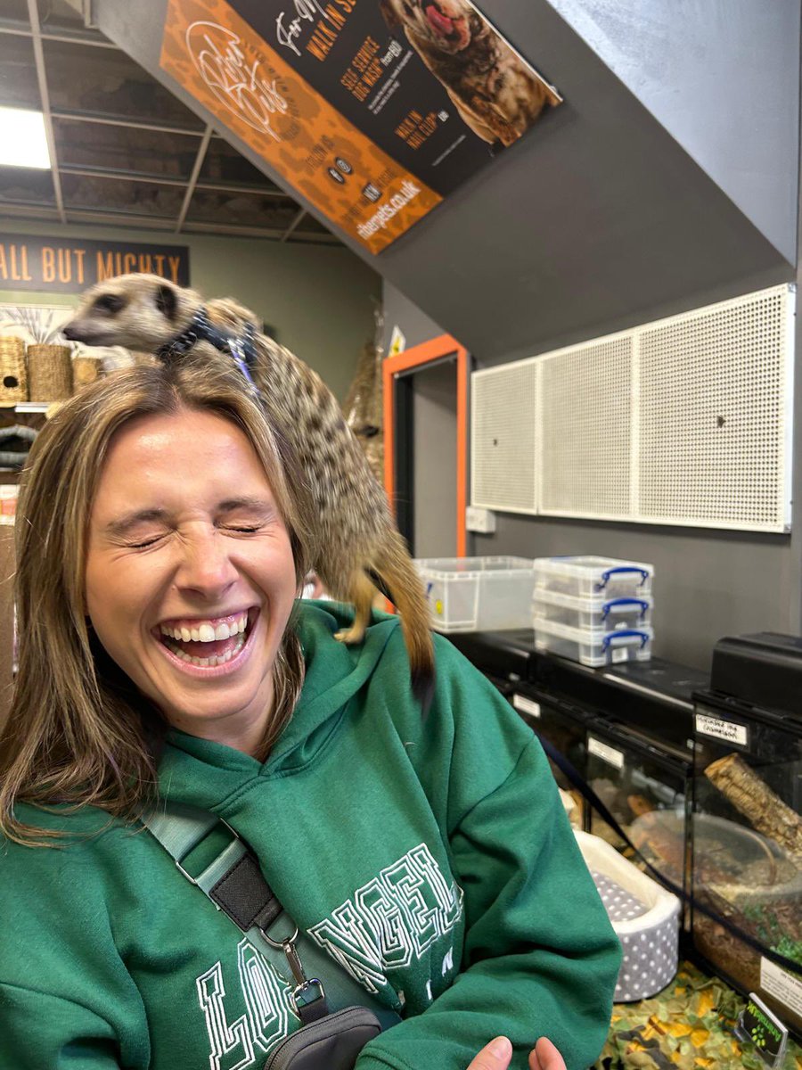 Yesterday I met a meerkat and it was… unique
