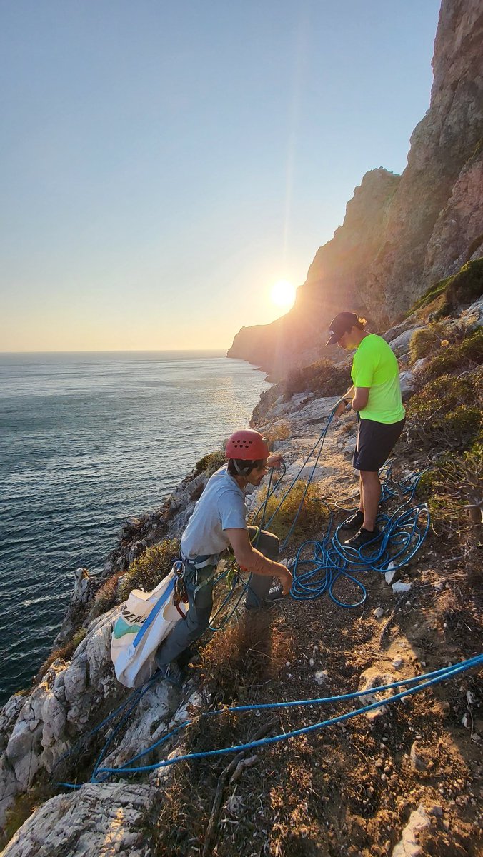 A day in search of the invasive iceplant, trying to save the few remaining plots of two microndemic plants in Cabo Espichel, Portugal. A nice departure from the usual :) With @MossyEarth and Nucleo de Espeleologia da Costa Azul