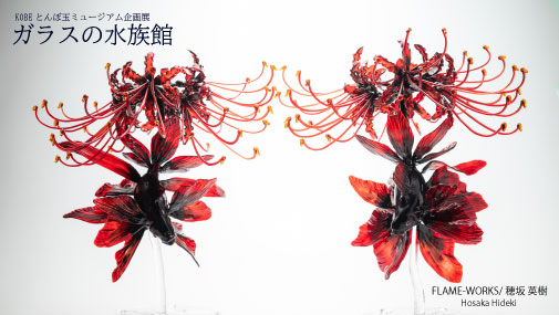 lampwork_museum's tweet photo. 企画展「ガラスの水族館」10月3日まで開催中!
FLAME-WORKS/穂坂 英樹「花尾多鰭金魚”阿吽”セット」
難しい構造の彼岸花を金魚の尾ひれの中から咲かせつつ、本来の鰭の数より多数の鰭を持つ台座一体の金魚作品。
#穂坂英樹 #FLAMEWORKS #ガラスの水族館 #KOBEとんぼ玉ミュージアム #神戸観光 https://t.co/Igj7ZTUvKL
