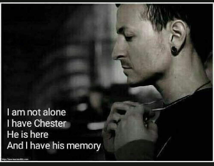 ancalehr's tweet photo. I am not alone. 

#CelebrateChestersLife ❤️ https://t.co/6G0BHj93Uv