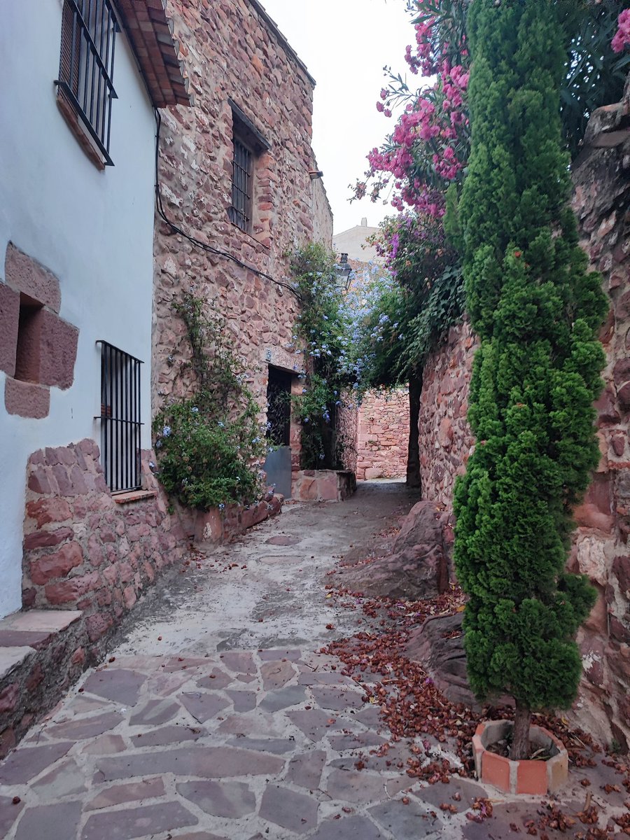Luaneitor's tweet photo. GM #travel adventurers and @camino_network fam 🆙
@c_valenciana #villafames 🇪🇦 https://t.co/gznyR9lNcf