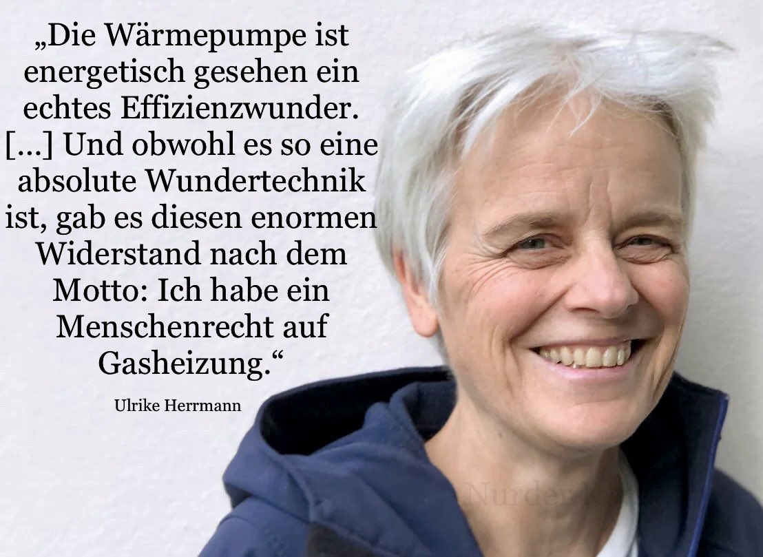 Nurder Koch tweet media